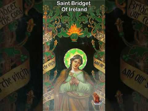 Video: Návštěva studny Saint Brigid poblíž města Kildare