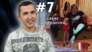 Дикие танцы (Дикие аккордеоны #7)