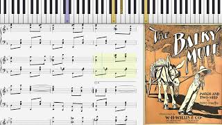 The Balky Mule by Aubrey Stauffer (1905, Ragtime piano)