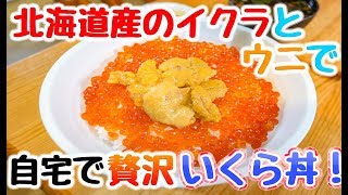 自宅で贅沢いくら丼を作ってみた！【北海道産イクラ１４０ｇと天然生ウニ】