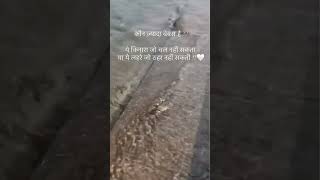 Post: 22 | 10-02-2026 | Type: Love Failure.     #lovers #missyou #sadlove #ytshorts #ytshort #shayar