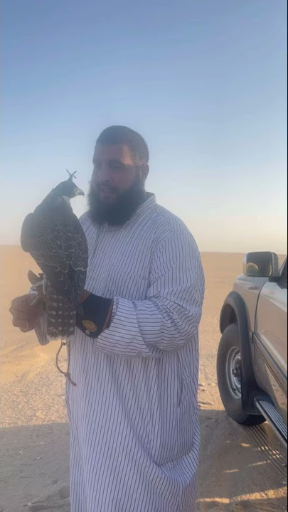 يالصقار لاتستعجل على طيرك اركد واسس عدل👌🏻