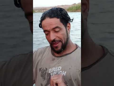 عرض العيد ابو فارس  01287759241 اللي عايز سمكه اوصل معانا صيد العصاري