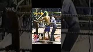 One Of The Most Brutal Knockouts Of The 90S Sakmongkol Vs Jongsanan