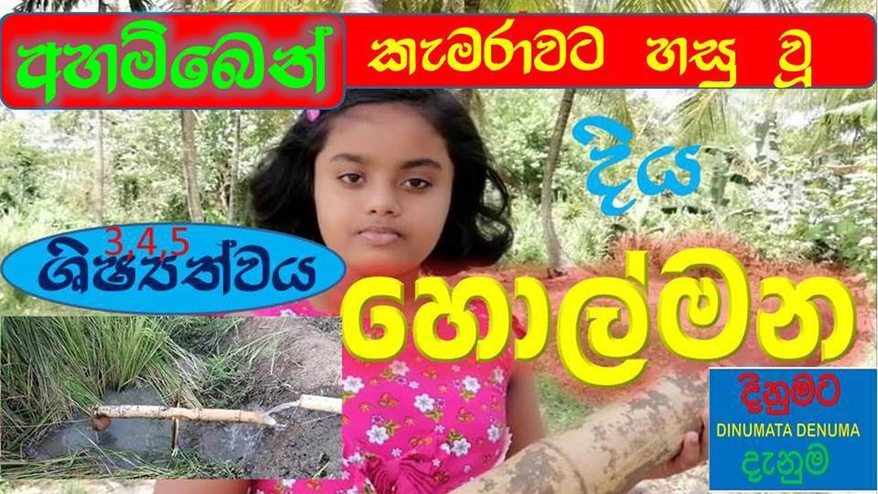 දිය හොල්මන/ grade 5 scholarship/5 wasara parisaraya/ 4 wasara parisaraya