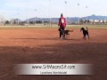 Dog Training - Teach dog to come back straight