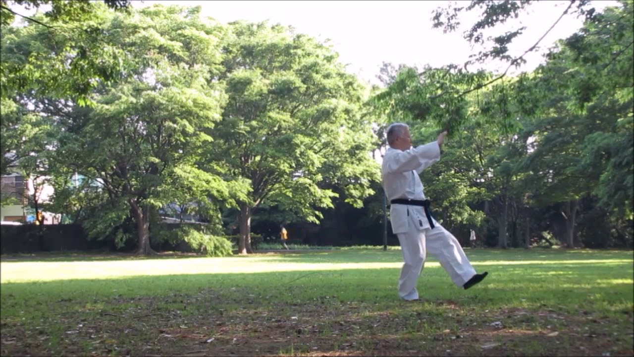 楊 名時 二十四式 太極拳 (2018.5.5) - YouTube