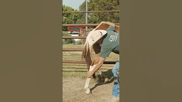 How To Handle A Crazy Kicking Horse 