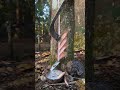 ​Oddly Satisfying Rubber Tapping Technique You Can't Stop Watching 🪓