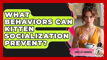 What Behaviors Can Kitten Socialization Prevent? - Happy Cat Handbook