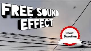free morning birds chirping sound effect - efek suara burung pagi hari