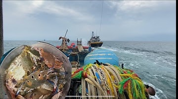 Khánh PH #2 : Trải Nghiệm Ăn Hải Sản Trên Ghe Cào Ngày Mưa Gió