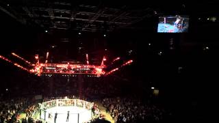 Ufc sweden 2nd rnd mauler silva audience reaction