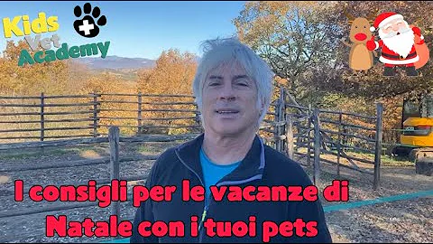 Cosa fare prima di partire per le vacanze?
