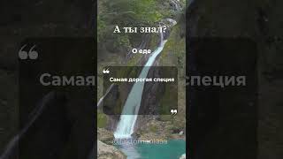 ⁉️Самая дорогая специя в мире это ... 🧠 #Факты #Интересное #Наука