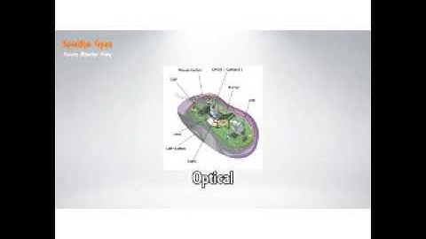 Class 11 Computer Application- chapter 1- Input Devices