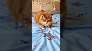 Tom and jerry #funny #trending #timelessvideo