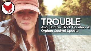 Butcher Block Countertops and Orphan Squirrel Update | VLOG