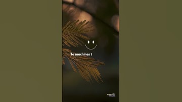 Coding Thoughts 💬💭 | Motivation #coding #motivation #development #codinglife #trending #html #css