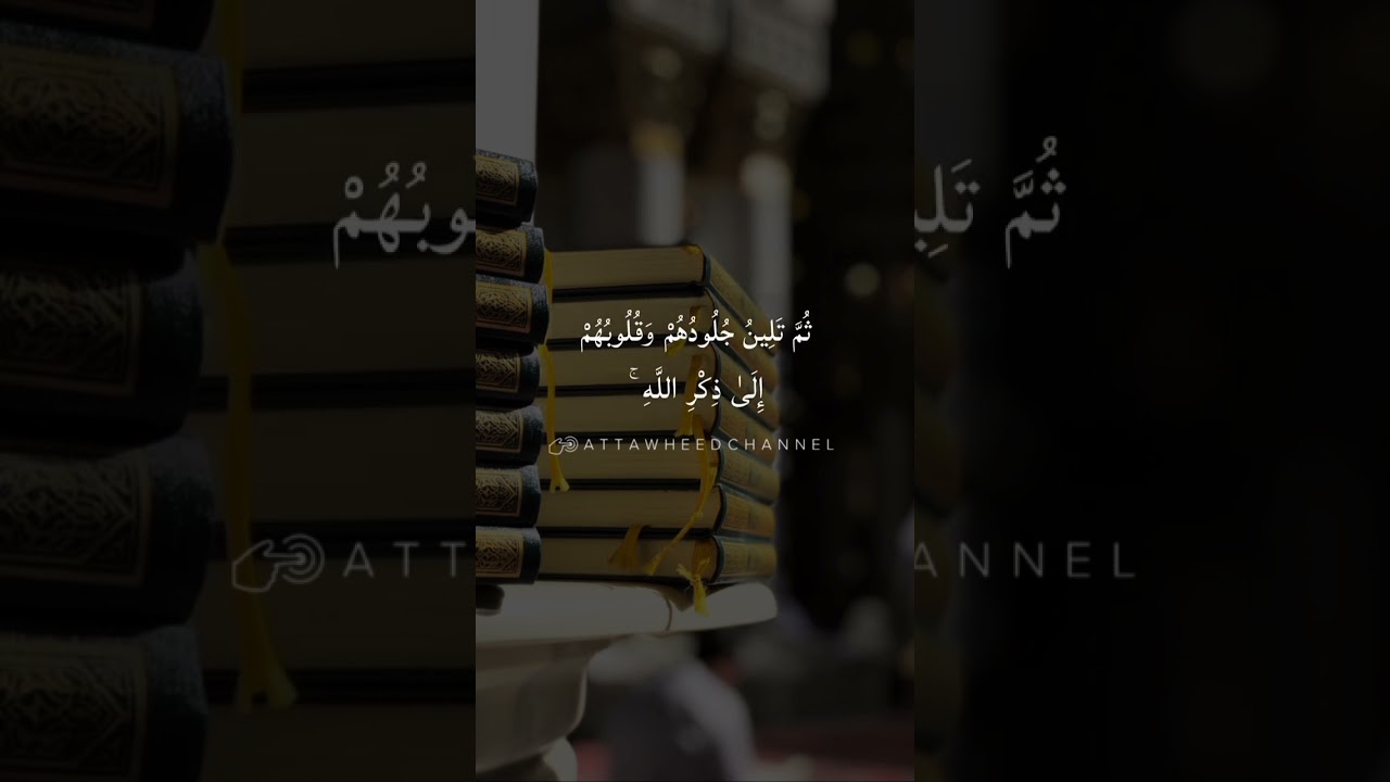 أَفَمَن شَرَحَ اللَّهُ صَدْرَهُ لِلْإِسْلَامِ فَهُوَ عَلَىٰ نُورٍ مِّن رَّبِّهِ ۚ