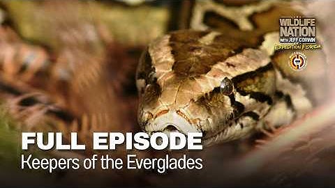 Keepers Of The Everglades - FULL EPISODE | S1