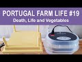 Death, Life & Vegetables | Portugal Farm Life 2-19