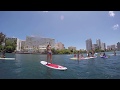 SUP Condado Lagoon, Puerto Rico | Playing with Manatees