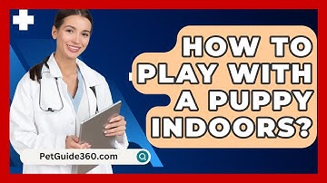 How To Play With A Puppy Indoors? - PetGuide360.com