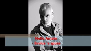 Video thumbnail of "Nello Amato - Evviva 'e spuse (Official audio)"