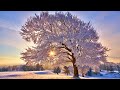 ☀Winter Morning Sunrise - Relaxing Piano Music - Deep Sleep Music: Meditation Study & Spa Music #07