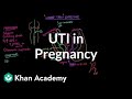 Understanding Urinary Tract Infections