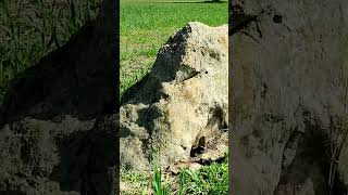 THE HANGING STONE