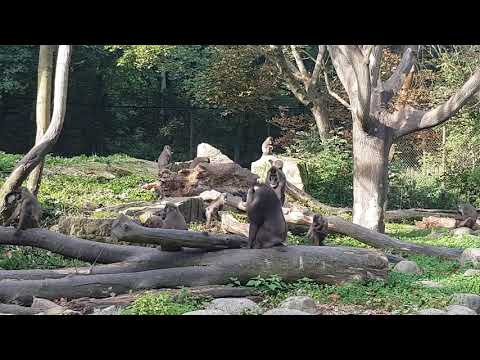 A family of drills and their enclosure