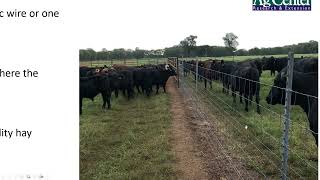 Weaning Methods and Preconditioning Considerations - Beef Brunch Educational Series