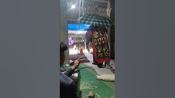 thầy tào bế văn đàn quảng hoà