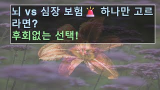뇌혈관 vs 심혈관 보험, 어떤 걸 골라야 후회 없을까?