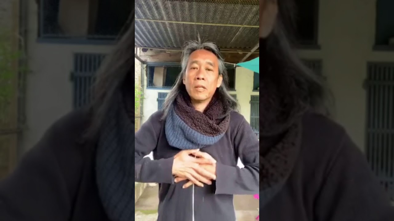 QI Gong de l'Amouraï - Denis TRAN - Qi-rurgien