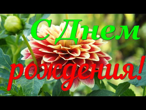 С Днем Рождения! Яркое Красивейшее Поздравление С Днем Рождения!
