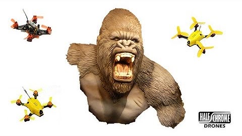 Half Chrome: How to Update Your KingKong 90GT, 95GT or 110GT with a Beeper and more!!!