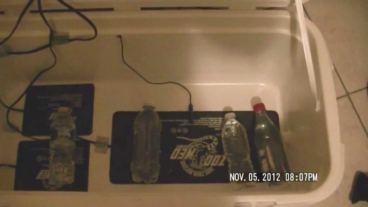 homemade incubator for ball python eggs homemade incubator for ball python eggs