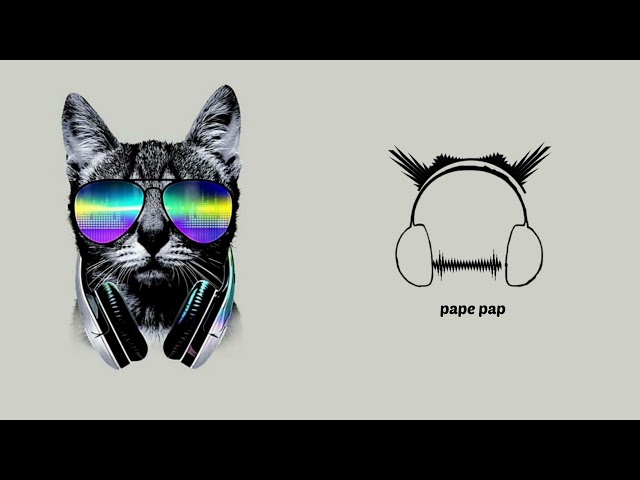 pape pap Remix - Ringtone | Moonbgm class=