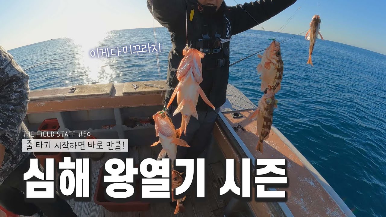 심해 대왕 열기! 이런 사이즈 보셨습니까_[THE FIELD STAFF_NS_50편 이재복]