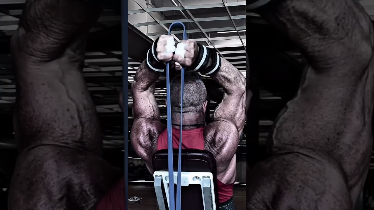 TRICEPS DAY MOTIVATION #workout #motivation #muscle #triceps