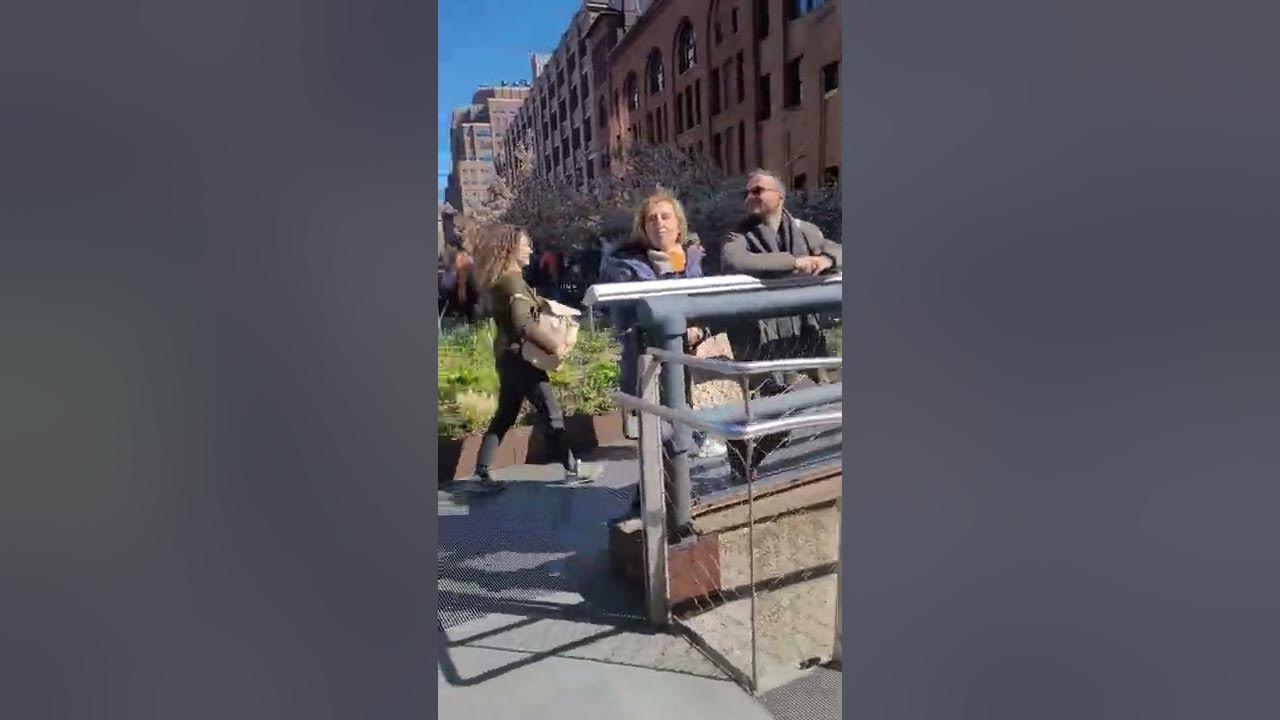 The high line NYC #shorts #highline #nyc #newyork The high line NYC #shorts #highline #nyc #newyork