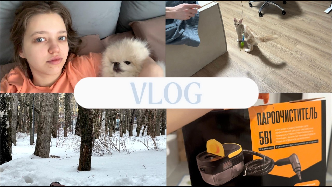 VLOG: Переиграли Байта. Бытовые приблуды