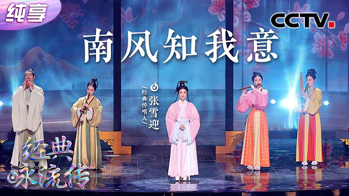 【纯享】张雪迎动人演绎《南风知我意》绵绵情思，动人心弦！| CCTV“经典咏流传·正青春” - 天天要闻