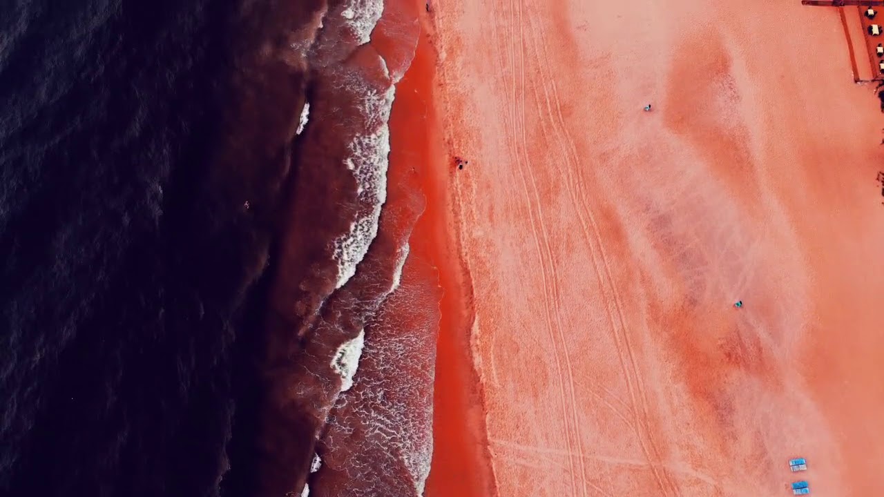 Surfanatics Shop - Surf Free Soul