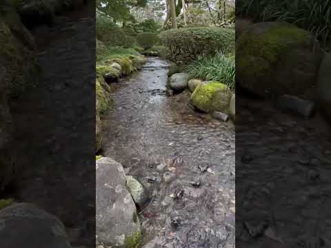 🏯 Kenrokuen garden, Kanazawa, Japan. Хотели бы прогуляться по такому саду вживую? 🍃