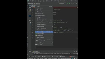 Basic Python Coding: Input Command "MADLIB Program"