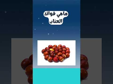 ماهي فوائد العناب بالمختصر اللذيذ دايت كيتو